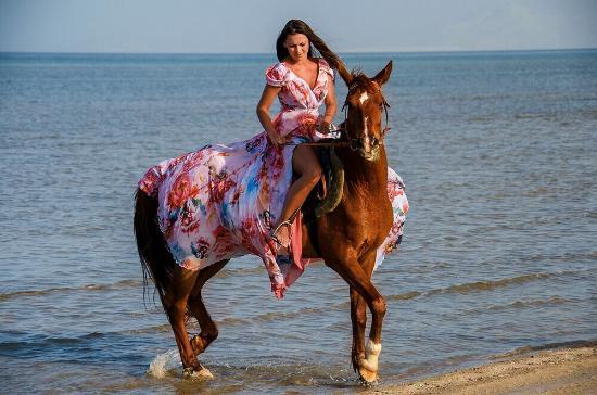 Miso Horse Riding Trips